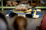 Leiden, Netherlands. 17th Sep, 2022. 2022-09-17 10:35:55 LEIDEN - A frozen sunfish weighing 400 kilograms in the Naturalis nature museum. The animal, almost 2 meters long and 184 centimeters high, washed ashore on Ameland last winter. On Saturday, under t