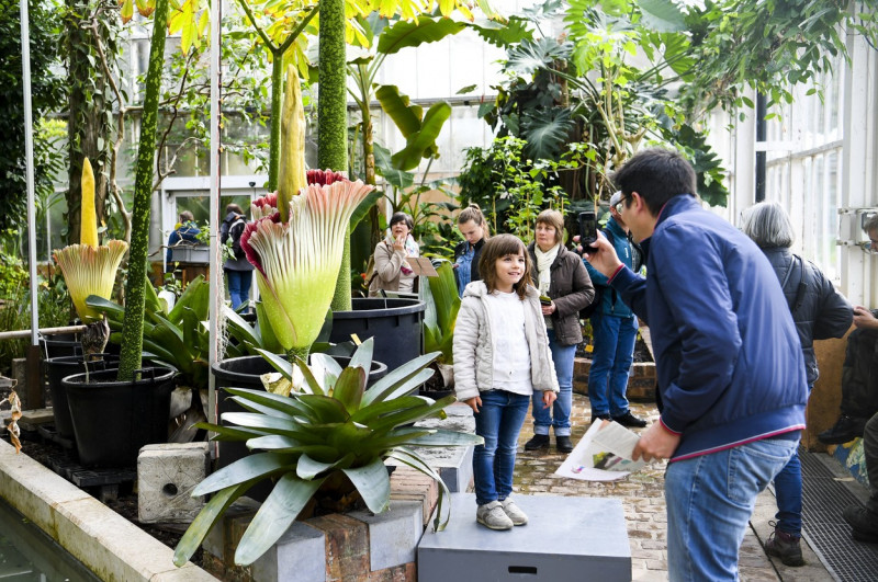 copii și adulți la o grădină botanică