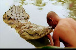 crocodil-funeralii-twitter4