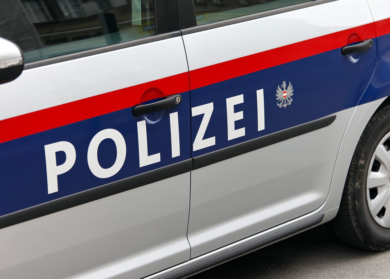 Albanezul care a mers pe contrasens în Austria și a spulberat o mașină cu români a primit o pedeapsă simbolică