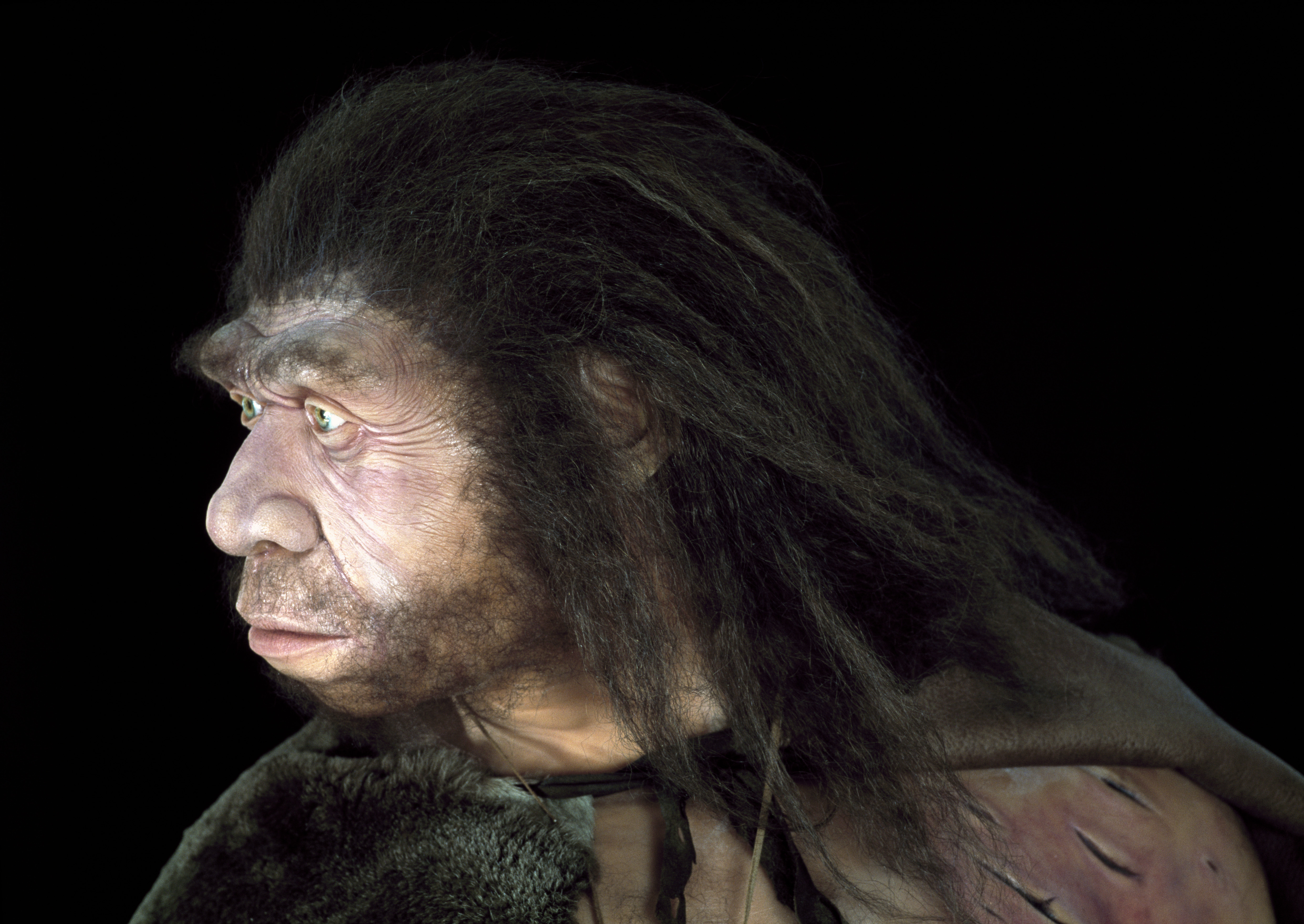 Omul de Neanderthal şi omul modern au coexistat în Europa timp de peste 2.000 de ani - studiu