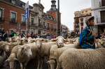 Transhumance festival in Madrid, Spain - 23 Oct 2022