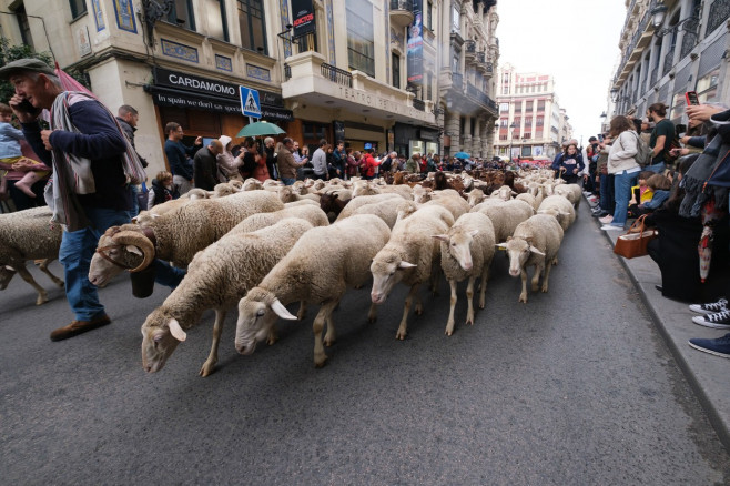 Transhumance Festival in Madrid, Spain - 23 Oct 2022