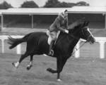 File photo dated 16/6/1960 of Queen Elizabeth II riding on the racecourse before the opening of the third day of the Royal Ascot meeting, when she took part in an unofficial 'race' and finished fourth to other members of her party of seven. Horses, like d