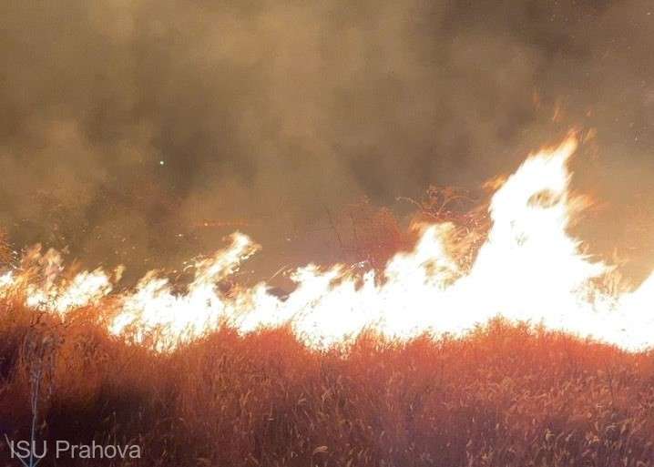 Incendiu major de vegetaţie uscată la Tohani, Prahova. Intervenţia este dificilă din cauza vântului