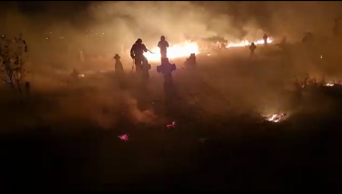 VIDEO Incendiu puternic în cimitirul din Slava Rusă, Tulcea. Flăcările au distrus o treime din morminte