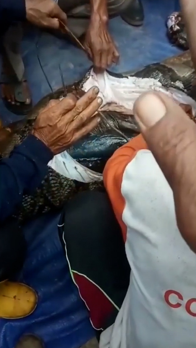 Grandmother, 54, eaten alive by 22ft long python in Indonesia