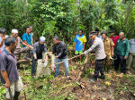 Grandmother, 54, eaten alive by 22ft long python in Indonesia