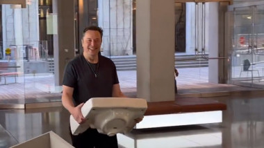 Elon Musk cu o chiuvetă în brațe.