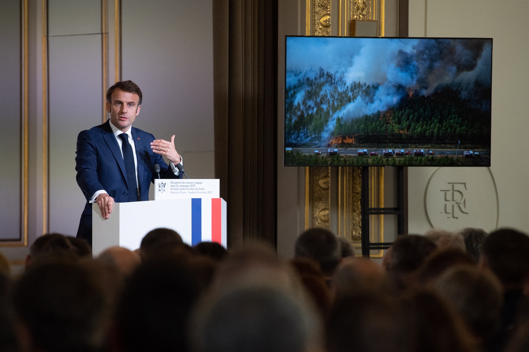 Franța va replanta 10% din pădurile sale, după incendiile din vară. Macron: E posibil ca astfel de ani să se repete în viitor