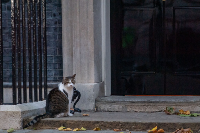 10 Downing Street, Westminster, London, UK - 19 Oct 2022