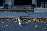 10 Downing Street, Westminster, London, UK - 19 Oct 2022