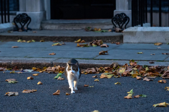 10 Downing Street, Westminster, London, UK - 19 Oct 2022