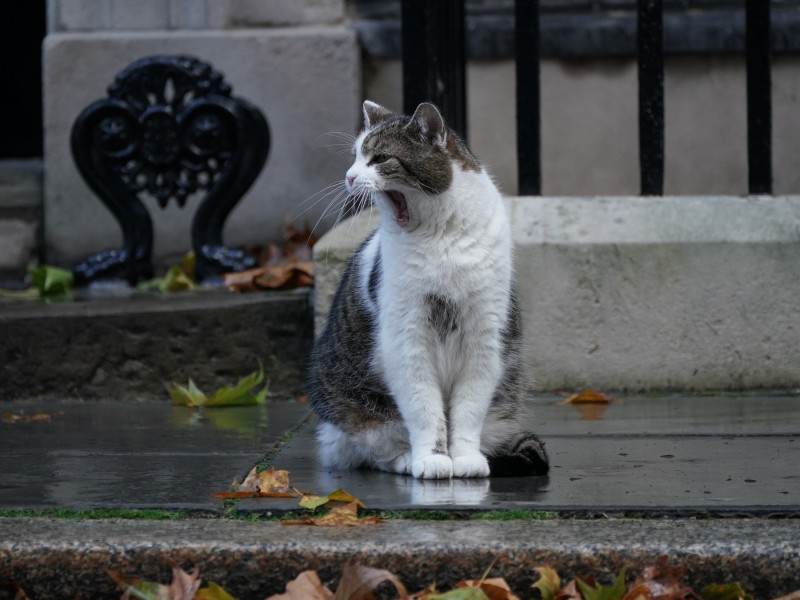 Liz Truss resignation