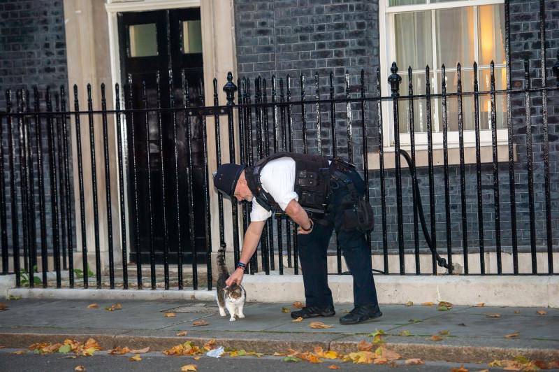 10 Downing Street, Westminster, London, UK - 19 Oct 2022