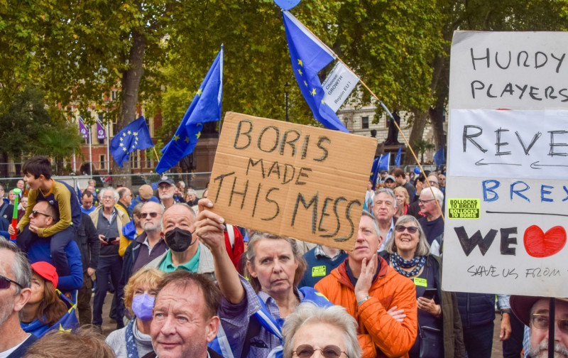National Rejoin the EU march in London, UK - 22 Oct 2022