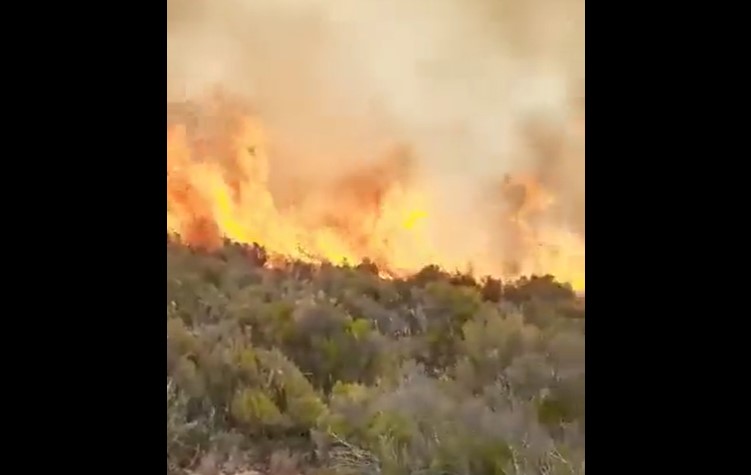 VIDEO Incendiu puternic în Kilimanjaro, de-a lungul uneia dintre cele mai populare rute de alpinism de pe munte