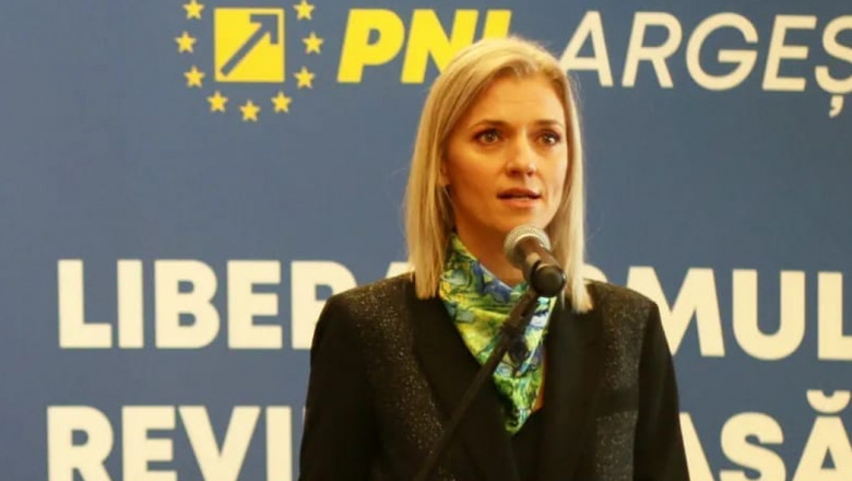 Alina Gorghiu face declarații la o conferință