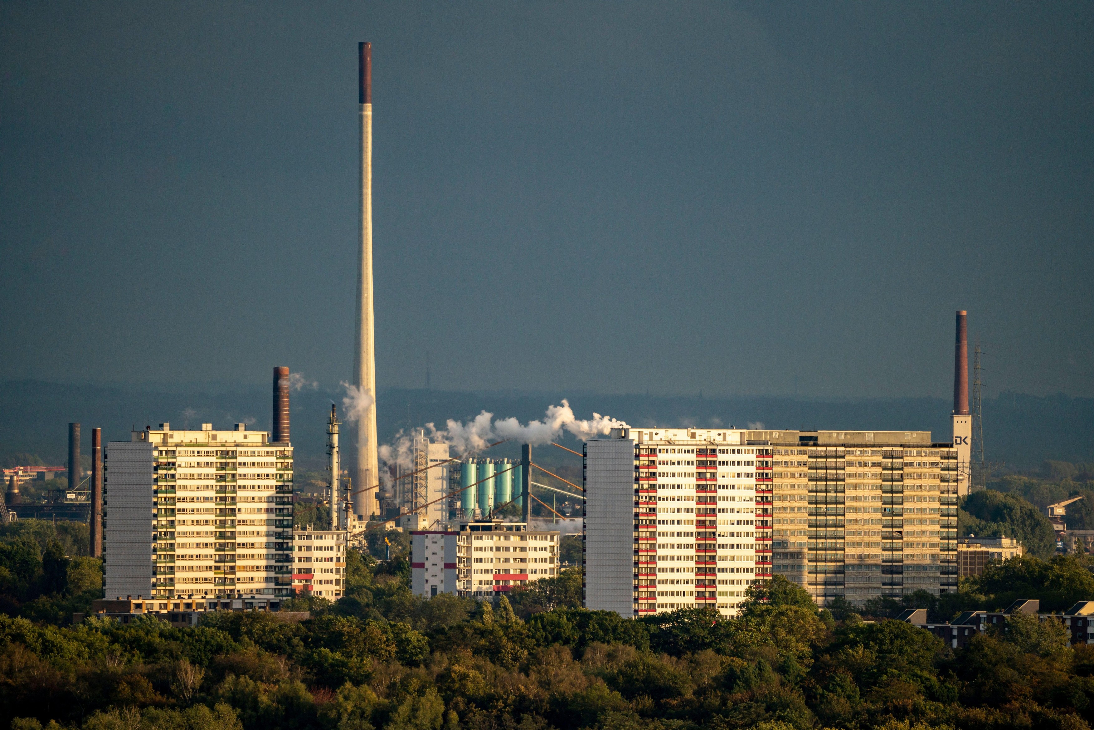 China construiește clădiri cu 26 de etaje pentru creșterea porcilor