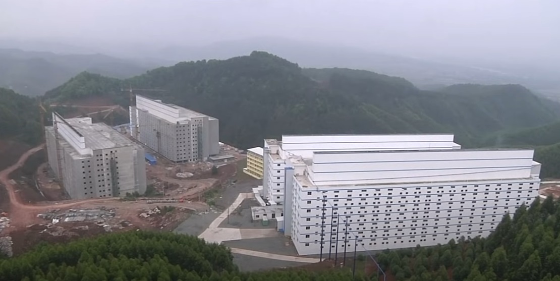 În China, porcii sunt crescuți în clădiri de 26 de etaje