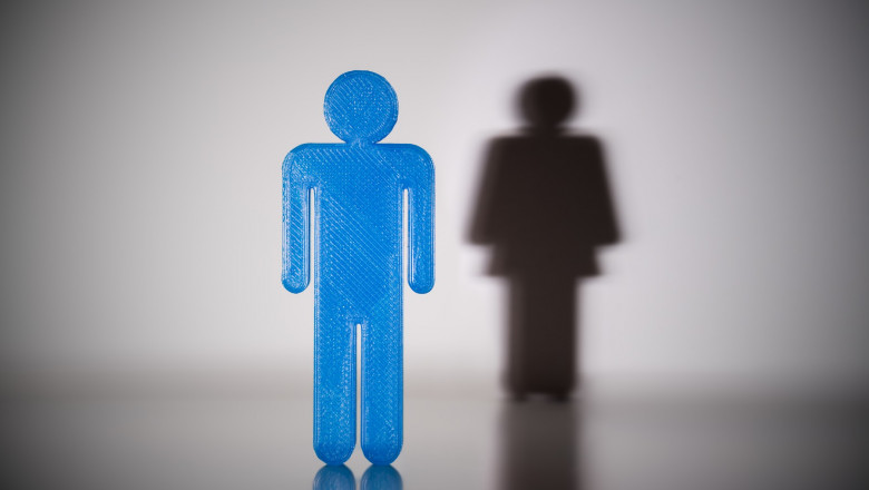 Blue Male Gender Human Figure In Front Of Female Shadow