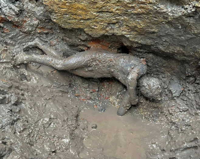 Statuie antică de bronz găsită în Italia