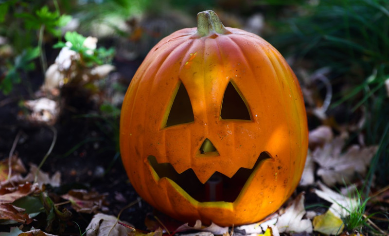 halloween profimedia