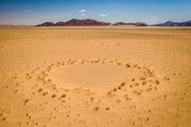 Fairy circles In desert, Namibia