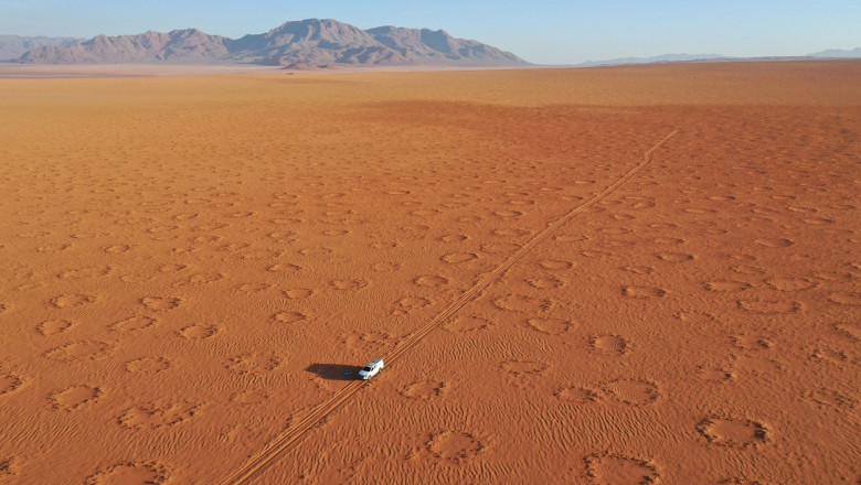 Cercurile zânelor în deșertul din Namibia
