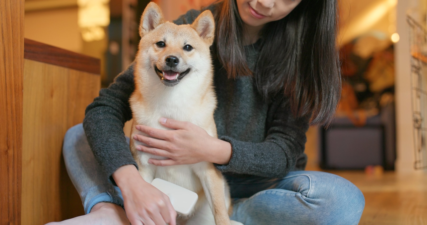 Japonezii au voie să vină la birou cu animalele lor de companie, ca să fie mai fericiți