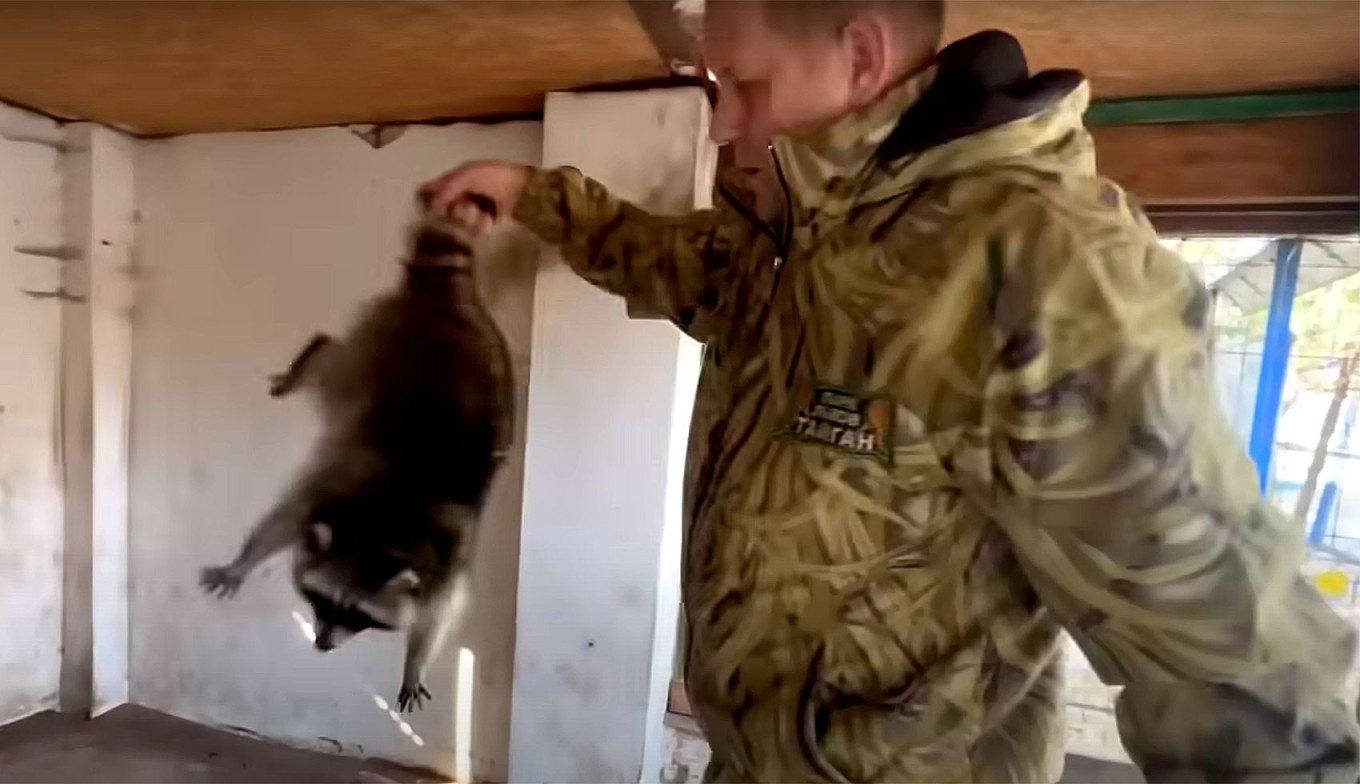 Rusul acuzat că a furat ratoni de la un zoo din Herson se scuză: Am vrut să-i ajut, să le ofer cazare