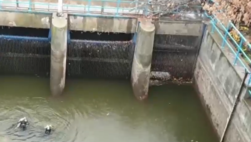 VIDEO O maşină a căzut în lacul Floreasca din București. 2 bărbați au fost salvați