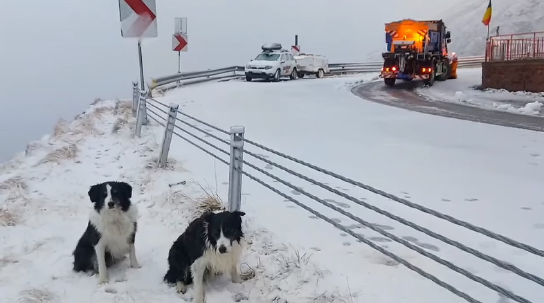 VIDEO A nins pe Transfăgărășan. Zăpada are deja câțiva centimetri