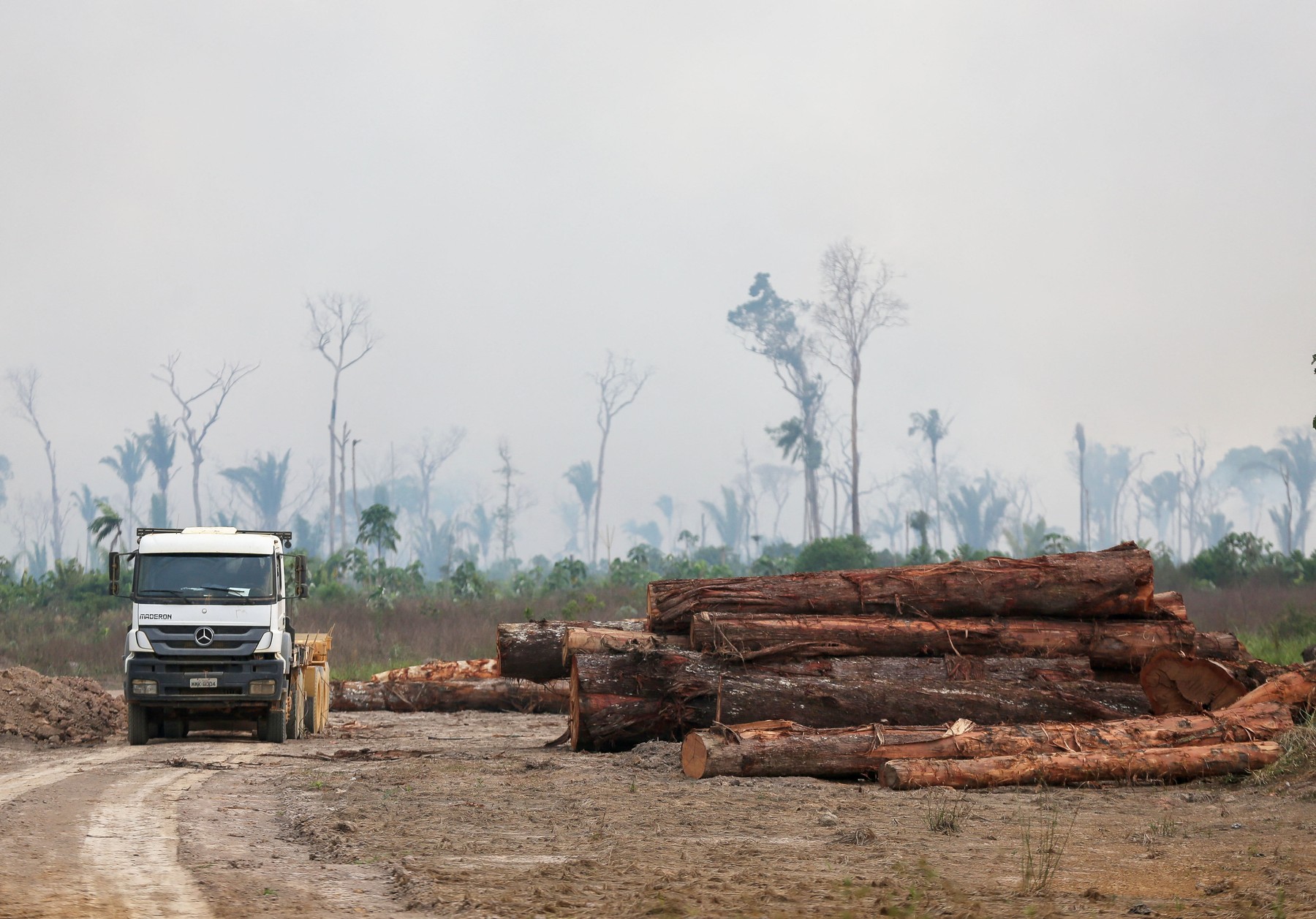 Defrișări record în Amazonia braziliană. Eșecul electoral al lui Jair Bolsonaro a dus la „o cursă frenetică pentru devastare”