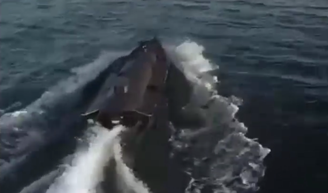 VIDEO. Ucraina construiește o flotă de drone marine. Experți: Vor revoluționa strategia luptelor navale
