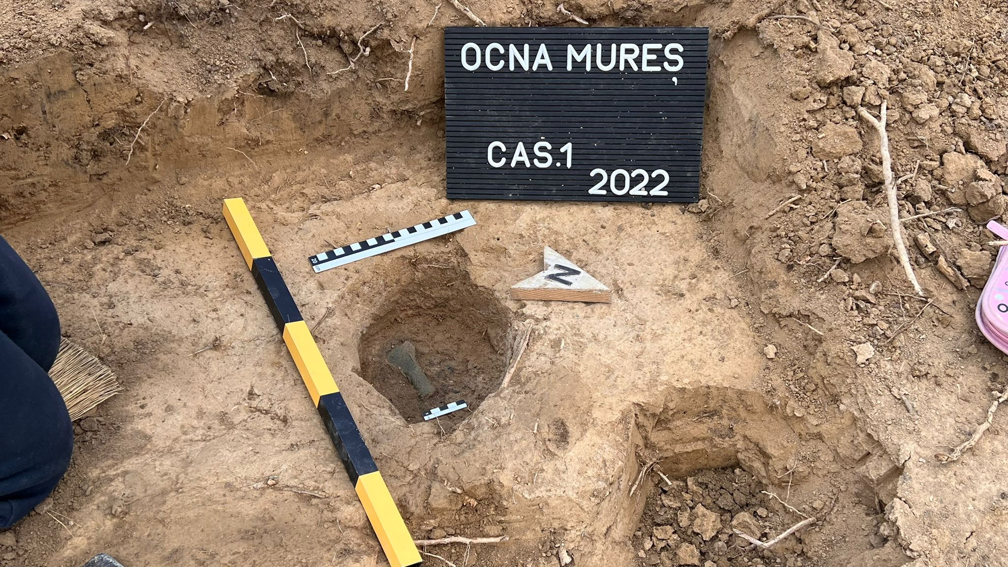 Trei topoare și o unealtă vechi de 3.000 de ani au fost descoperite într-o pădure de lângă Ocna Mureș