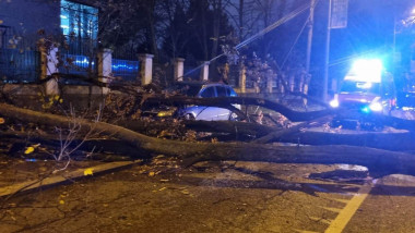 Copac căzut pe strada Jandarmeriei