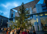 Christmas tree in the chancellery