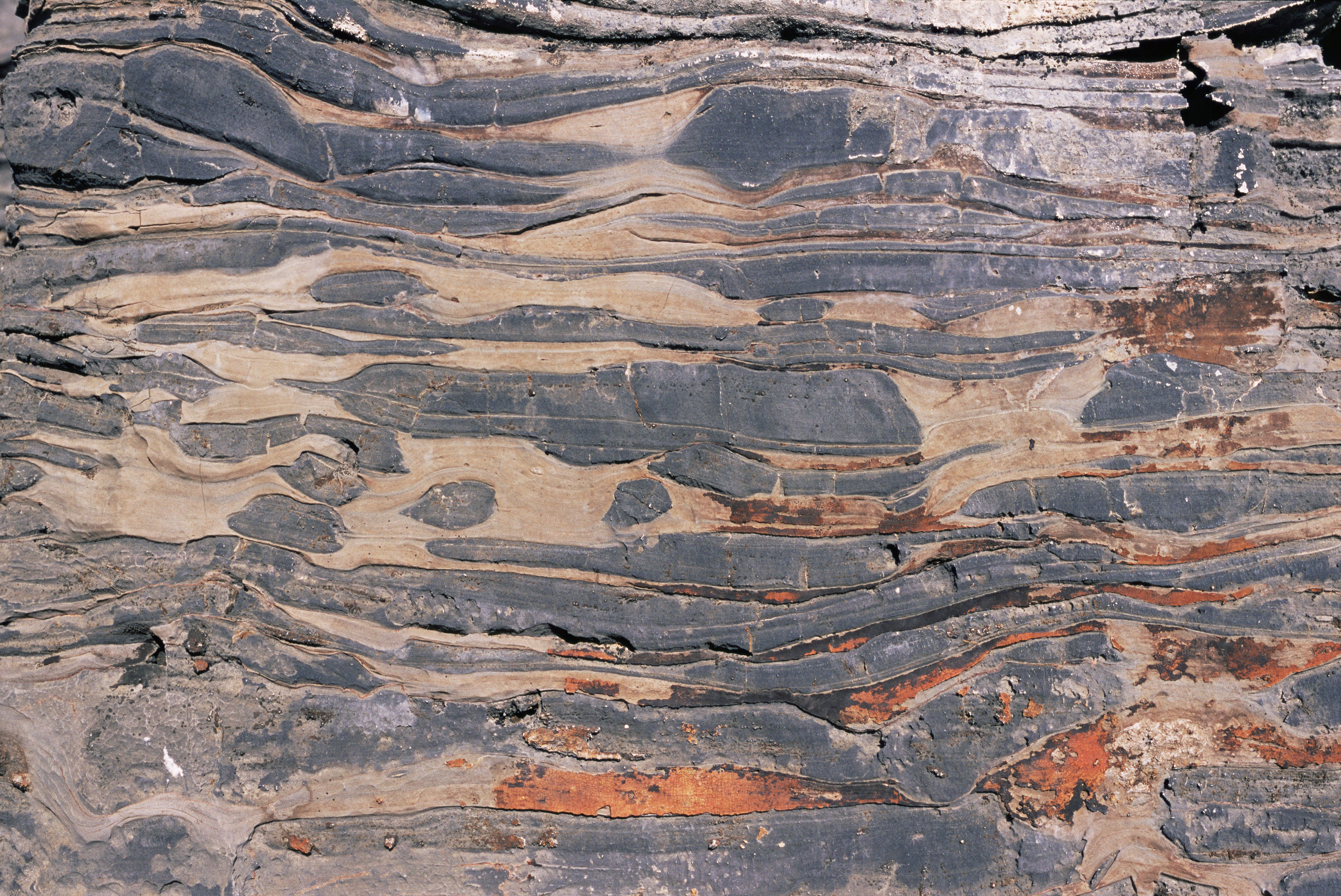 Primele semne de viata pe Pamant, descoperite in roci vechi de 3,5 miliarde de ani. Ce sunt stromatolitele