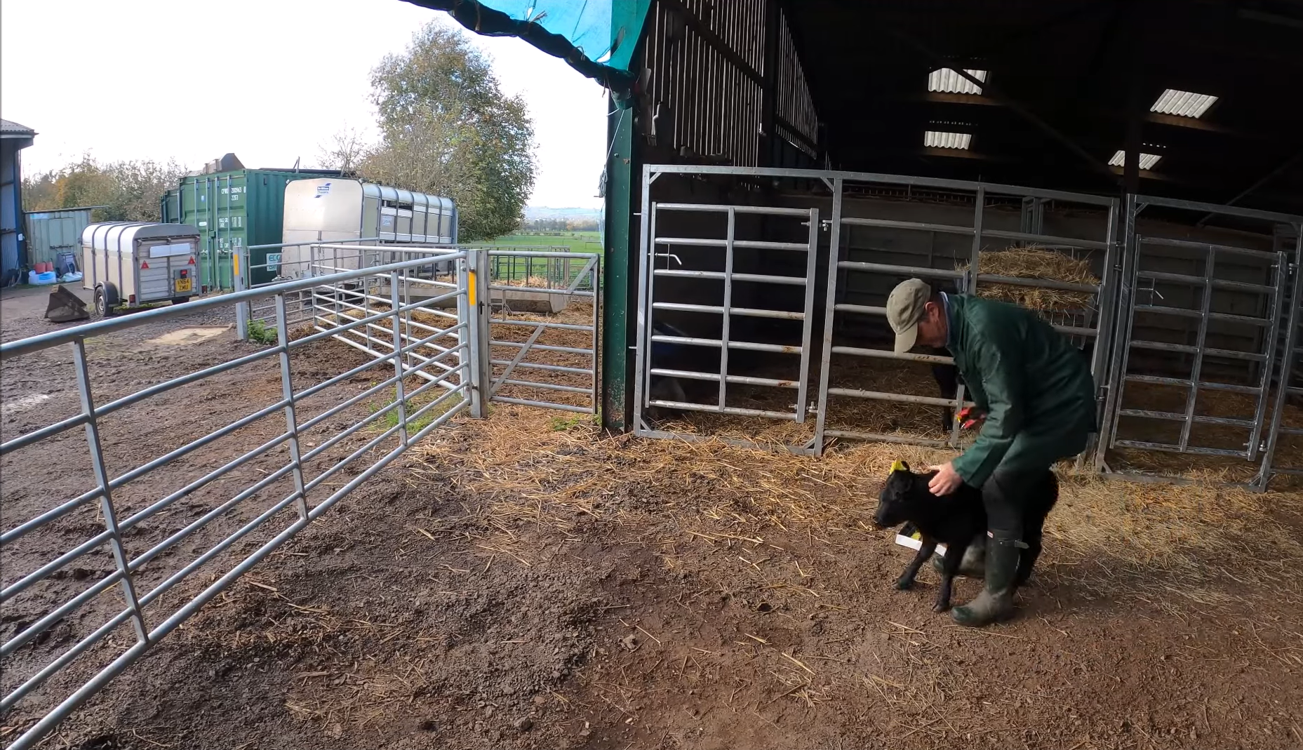 VIDEO Un fermier a ajuns să câștige mai mulți bani din canalul său de YouTube decât de pe urma vacilor sale