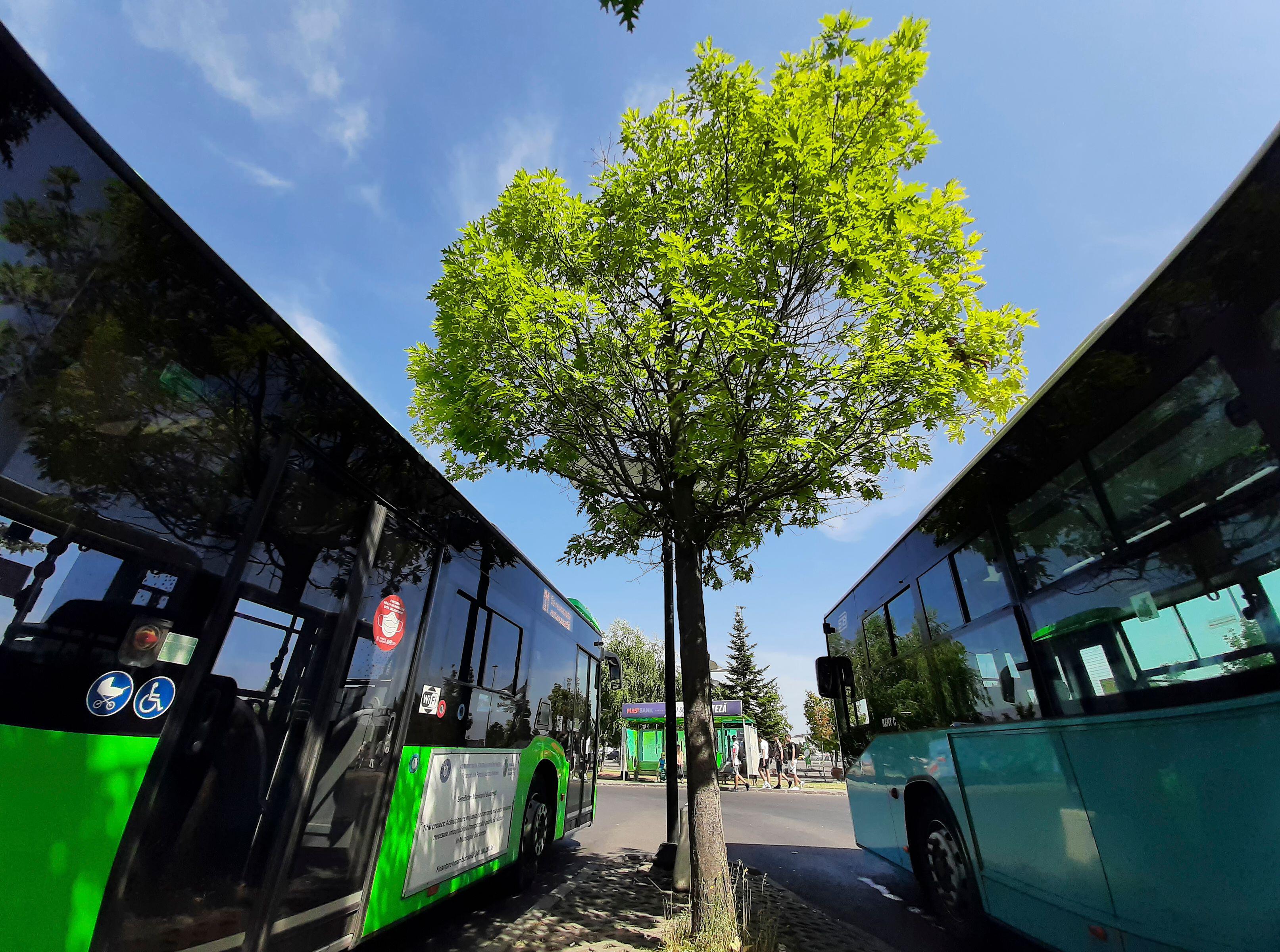 Războiul cu poluarea, faza pe becuri și autobuze. Cum se duce în instituțiile statului lupta cu schimbările climatice