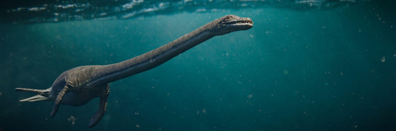 Elasmosaurus, plesiosaur from the Late Cretaceous period, one of the longest necked animals to have ever lived, 3d science illustration banner