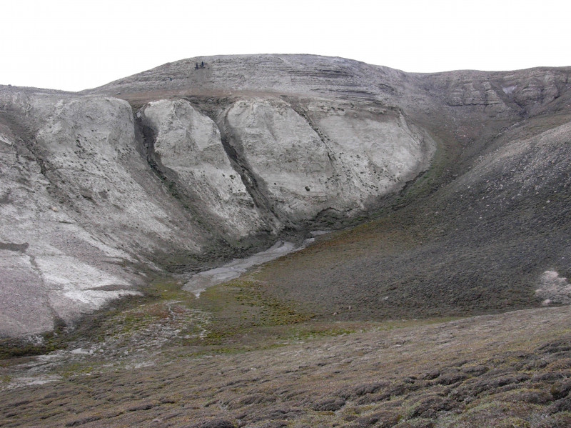 Oamenii de știință au descoperit cele mai vechi secvențe de ADN din lume, în nordul Groenlandei. FOTO: Profimedia Images