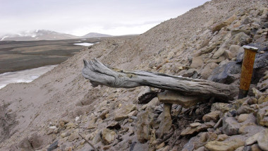 Oamenii de știință au descoperit cele mai vechi secvențe de ADN din lume, în nordul Groenlandei. FOTO: Profimedia Images