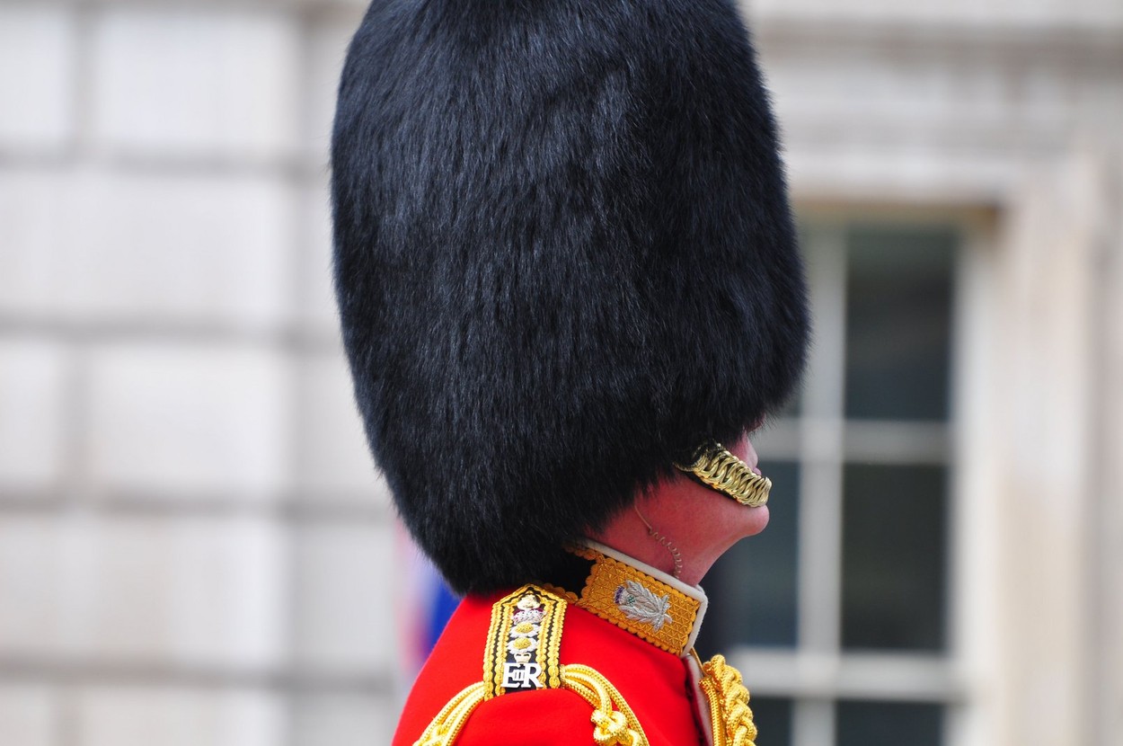 Ministerul Apărării din Marea Britanie a fost dat în judecată pentru căciulile din blană ale militarilor din Garda Regală