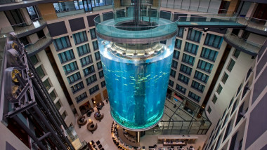 Cel mai mare acvariu din lume