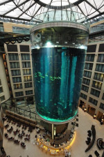 acvariul AquaDom din Berlin 1
