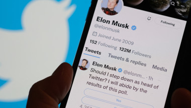 Simbolul Twitter pe fundal cu un telefon cu o postare a lui Elon Musk în prim plan