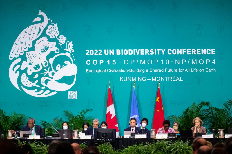 COP15-mediu-profimedia