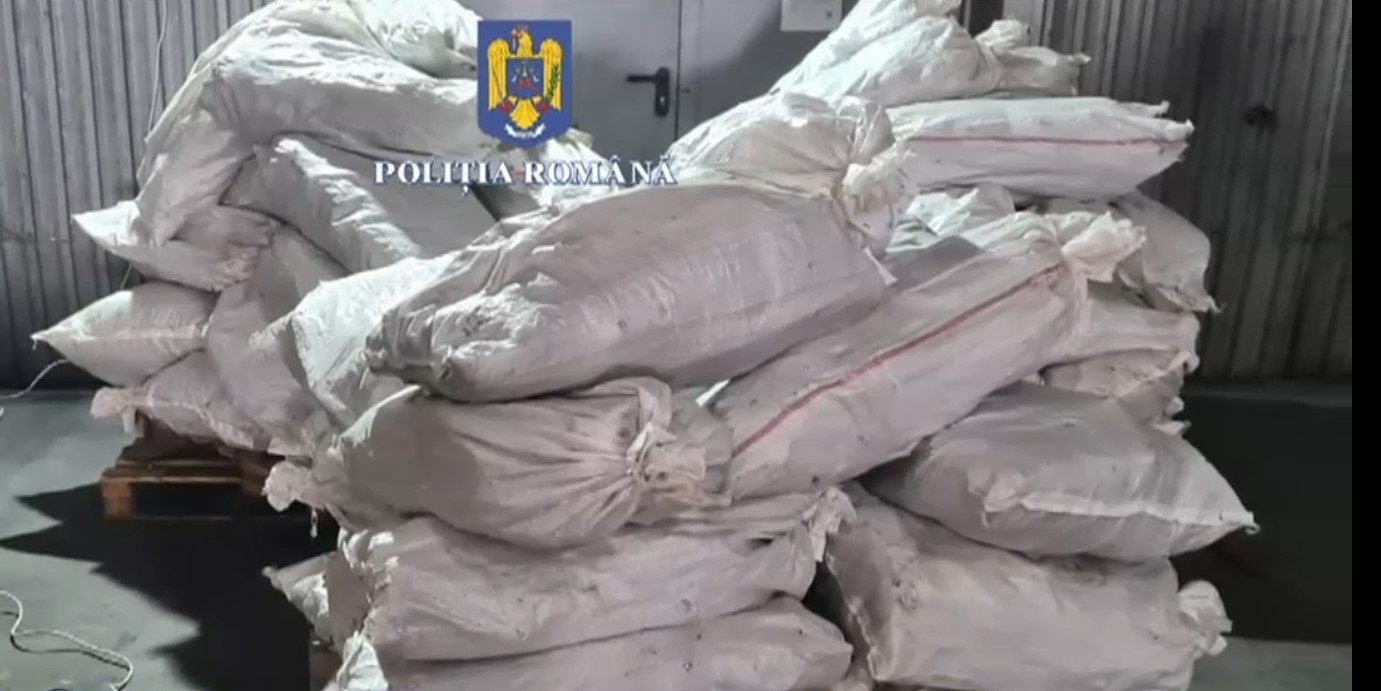 Aproape 4,5 tone de droguri confiscate au fost distruse într-o singură zi de Poliția Română